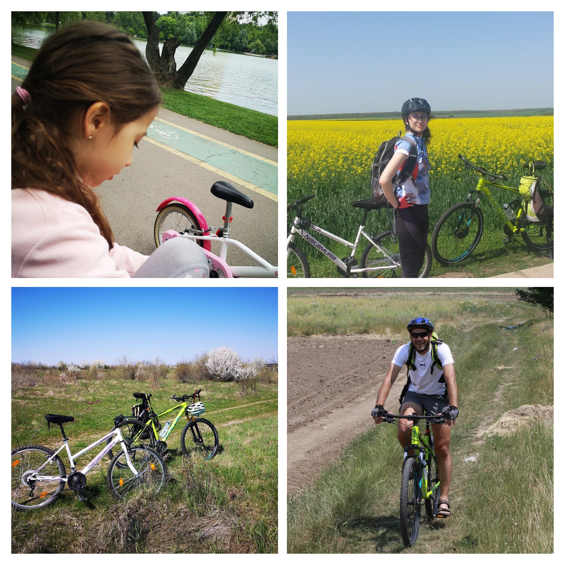 Bicicleta_lectii copii si adulti